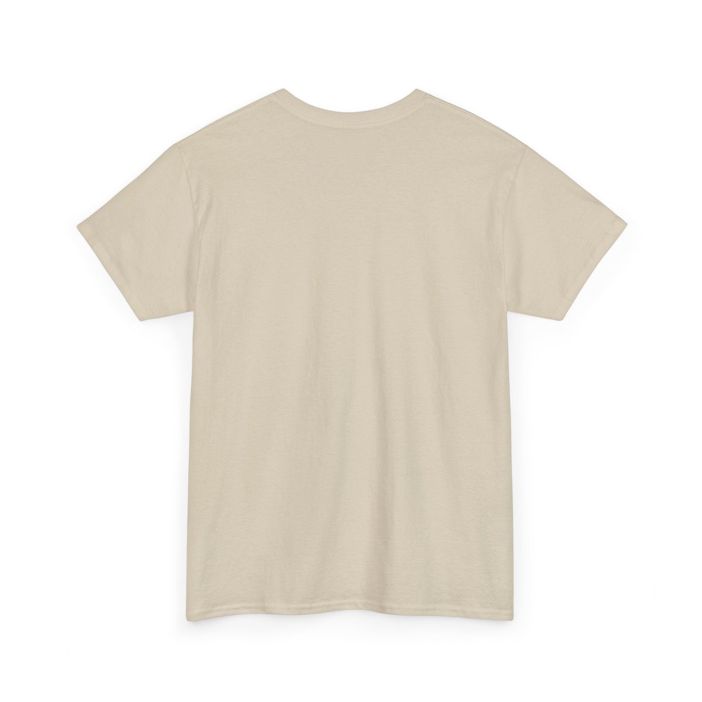 Gulf of America! BLESSED unisex heavy cotton tee