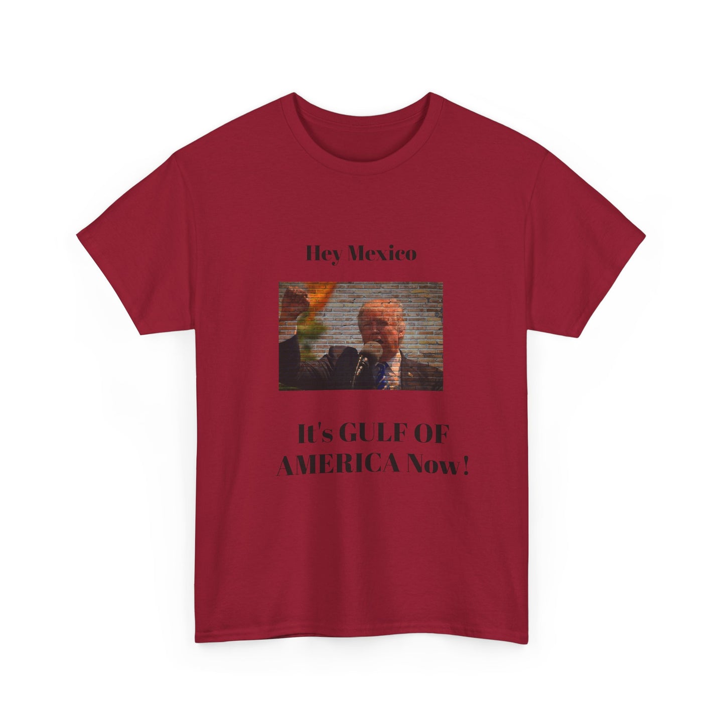 Gulf of America! BLESSED unisex heavy cotton tee