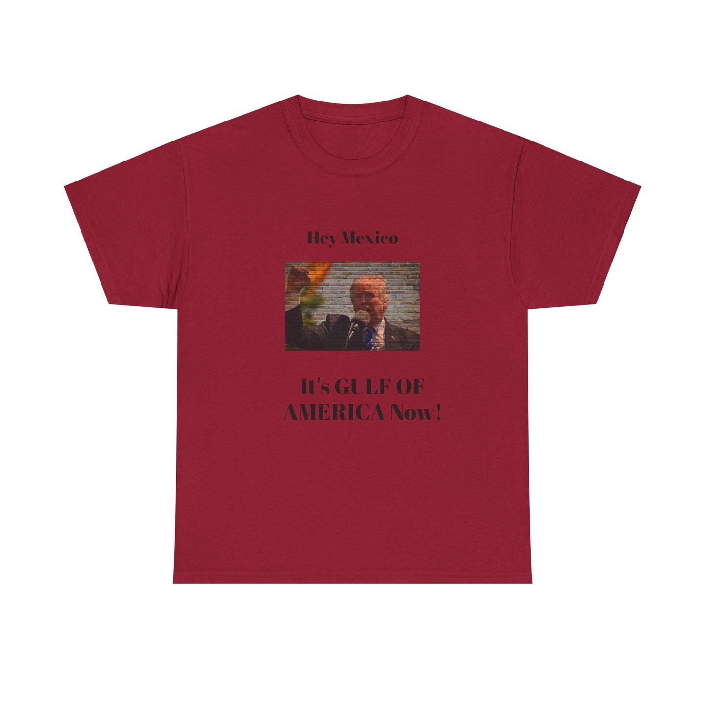 Gulf of America! BLESSED unisex heavy cotton tee