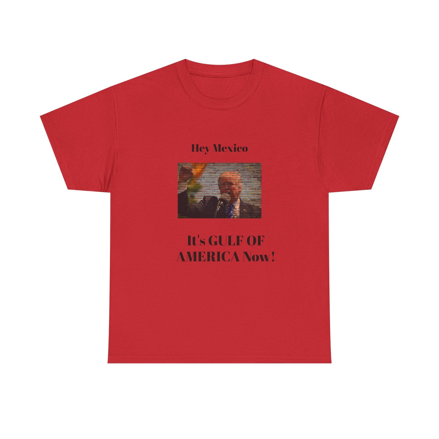 Gulf of America! BLESSED unisex heavy cotton tee