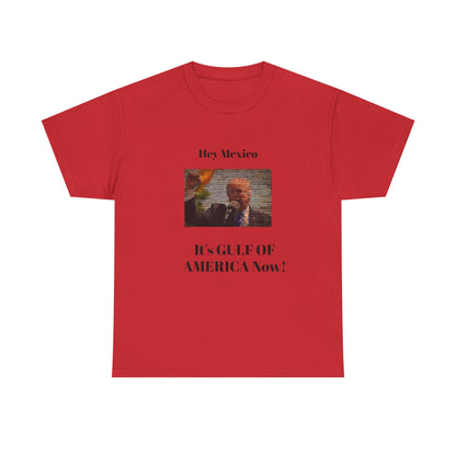Gulf of America! BLESSED unisex heavy cotton tee