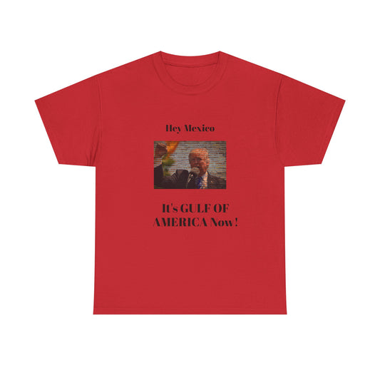 Gulf of America! BLESSED unisex heavy cotton tee