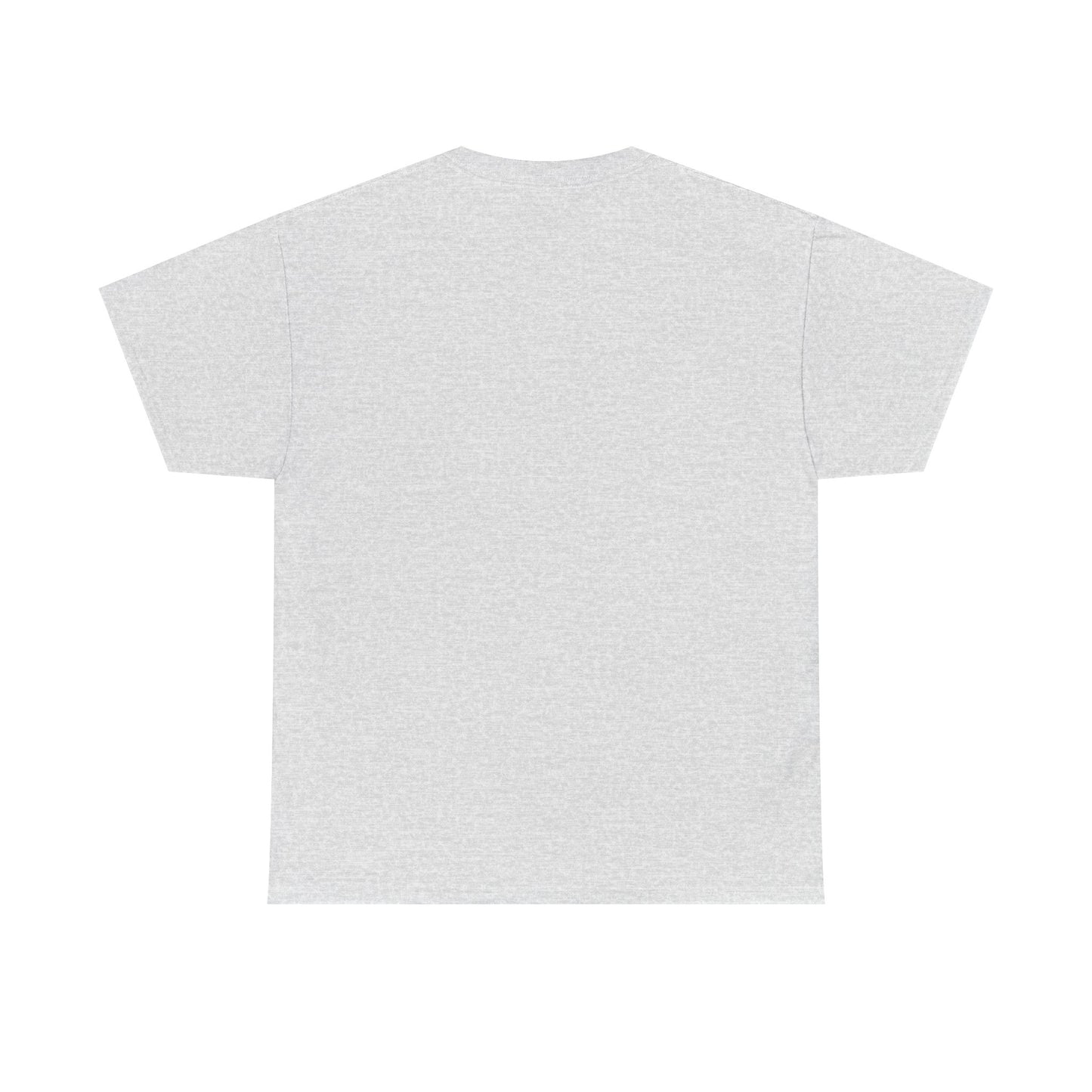 Gulf of America! BLESSED unisex heavy cotton tee