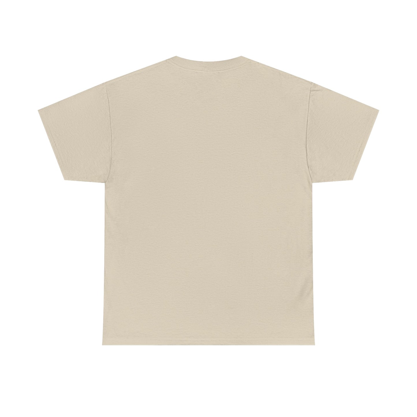 Gulf of America! BLESSED unisex heavy cotton tee
